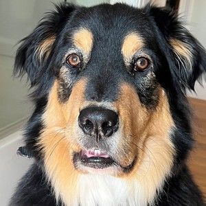 Meet your Posher, Clare